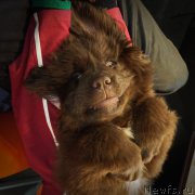 Превью фото № 198480