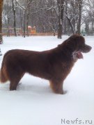 Превью фото № 198520