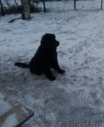 Превью фото № 198551