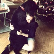 Превью фото № 198603