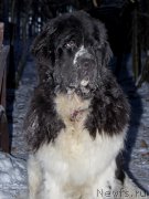 Превью фото № 198639