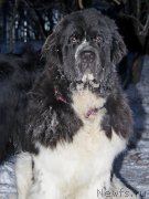 Превью фото № 198640