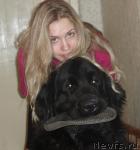 Превью фото № 19866