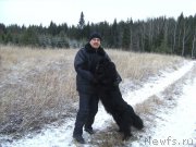 Превью фото № 198666