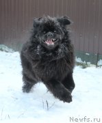 Превью фото № 198722