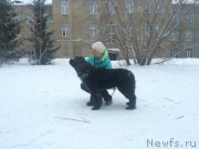 Превью фото № 198744