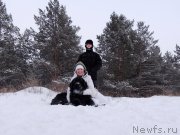 Превью фото № 198753