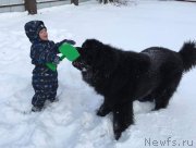 Превью фото № 198758