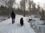 Превью фото № 198788