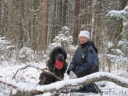 Превью фото № 198793