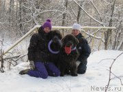 Превью фото № 198797