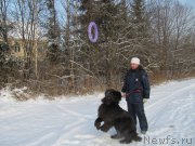 Превью фото № 198799