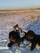 Превью фото № 198814