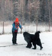 Превью фото № 198847