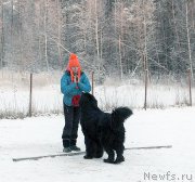 Превью фото № 198848