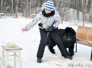 Превью фото № 198851