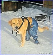 Превью фото № 198854