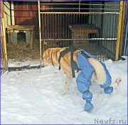 Превью фото № 198860