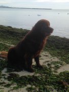 Превью фото № 198870