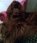 Превью фото № 198882