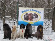 Превью фото № 198890