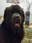 Превью фото № 198899