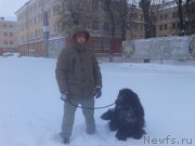 Превью фото № 198903