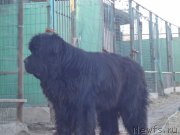 Превью фото № 198909