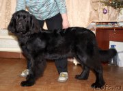 Превью фото № 198983