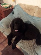 Превью фото № 198988