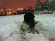 Превью фото № 198994