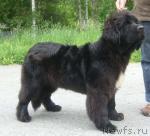 Превью фото № 199