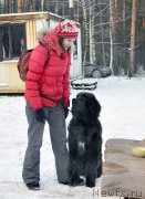 Превью фото № 199003