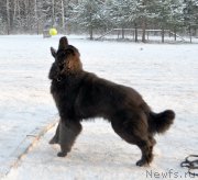 Превью фото № 199006