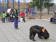 Превью фото № 199013