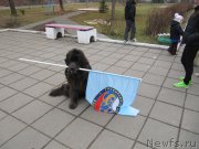 Превью фото № 199014