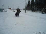 Превью фото № 199039