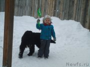 Превью фото № 199043