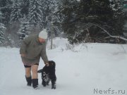 Превью фото № 199047