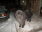 Превью фото № 199062