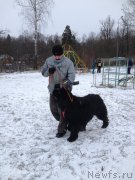 Превью фото № 199089