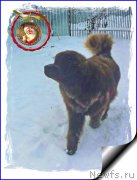 Превью фото № 199102