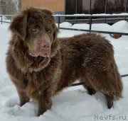 Превью фото № 199157