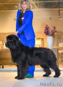 Превью фото № 199200