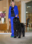 Превью фото № 199201