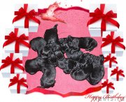 Превью фото № 199339