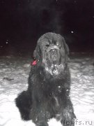 Превью фото № 199340