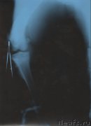 Превью фото № 199356