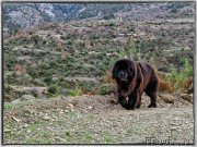 Превью фото № 199357