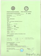 Превью фото № 199420